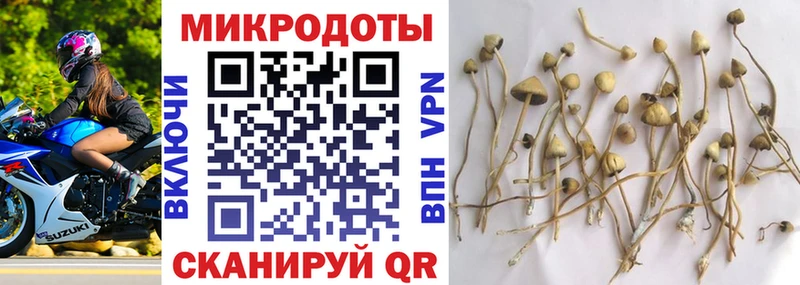 Галлюциногенные грибы GOLDEN TEACHER  сколько стоит  Октябрьск 